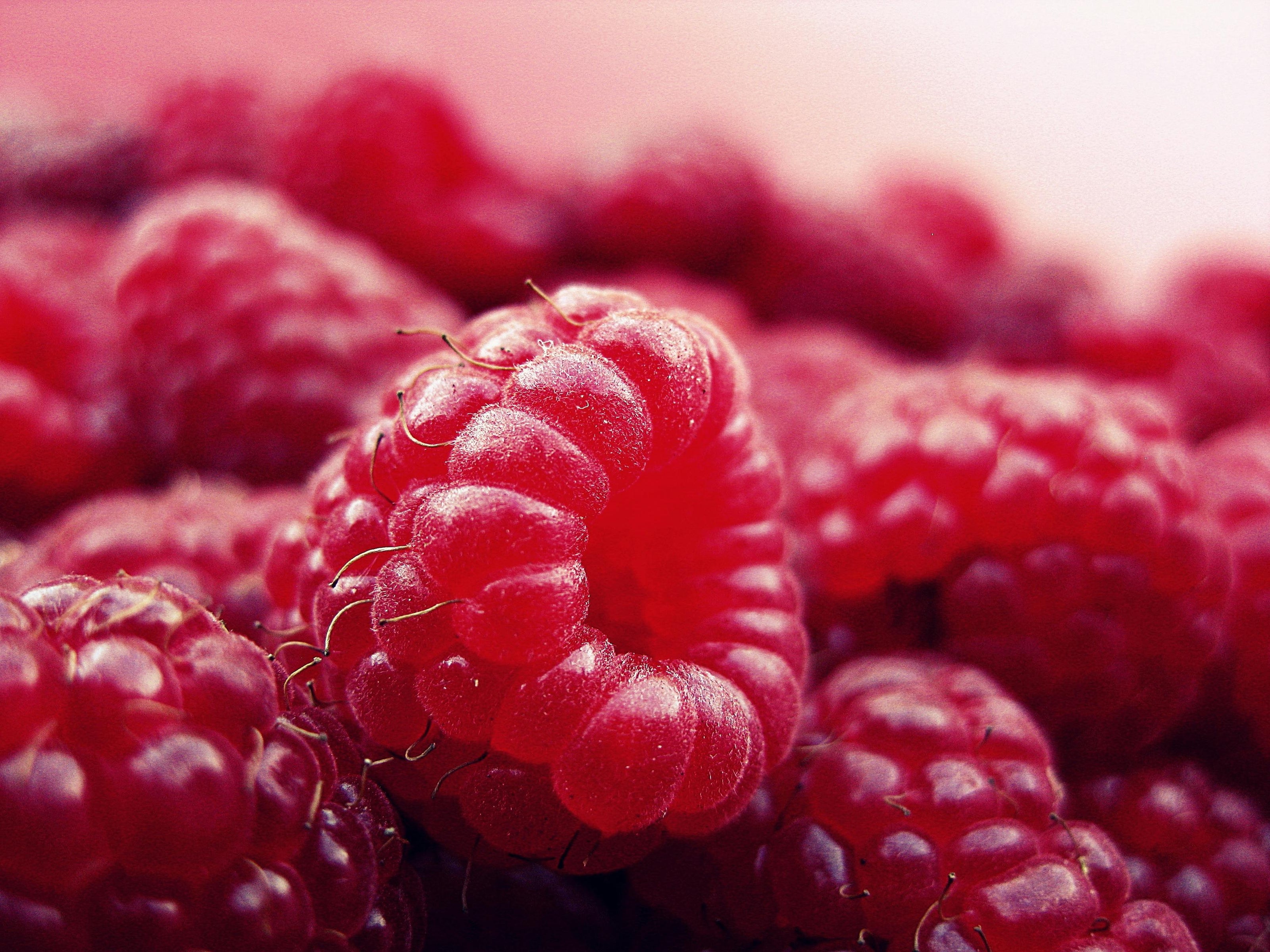 "Gros plan sur une framboise fraîche et veloutée au cœur d’un amas de fruits rouges — une ode à la naturalité brute et à la richesse aromatique au cœur des ciders BFF.
